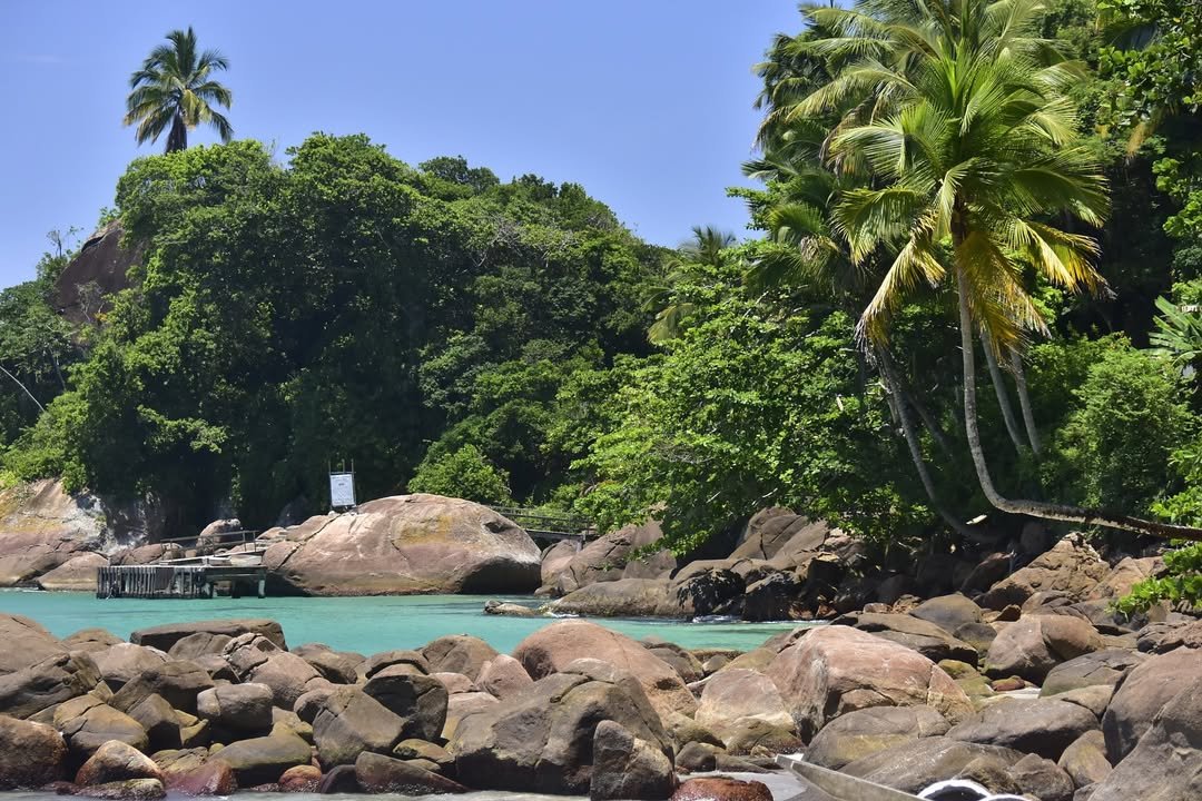 Abraão Tour Ilha Grande