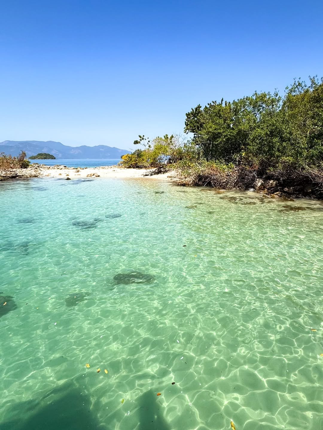 Abraão Tour Ilha Grande