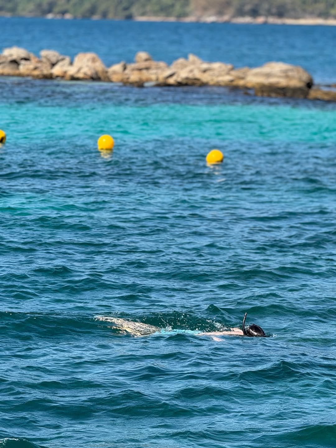 Abraão Tour Ilha Grande