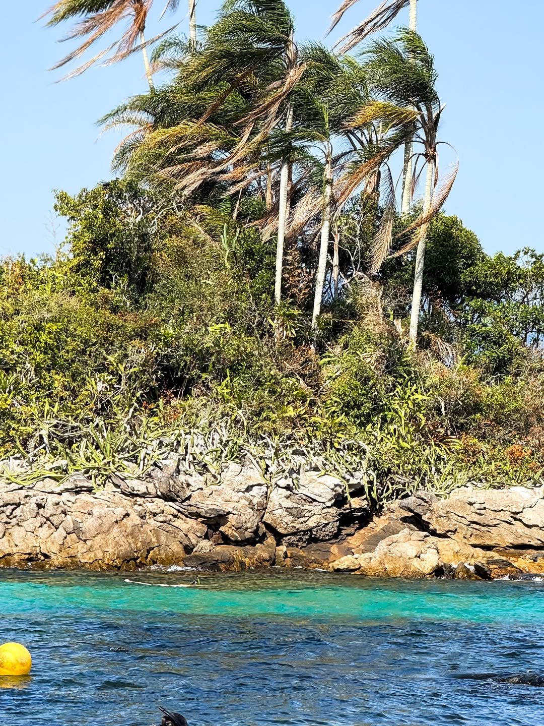 Abraão Tour Ilha Grande