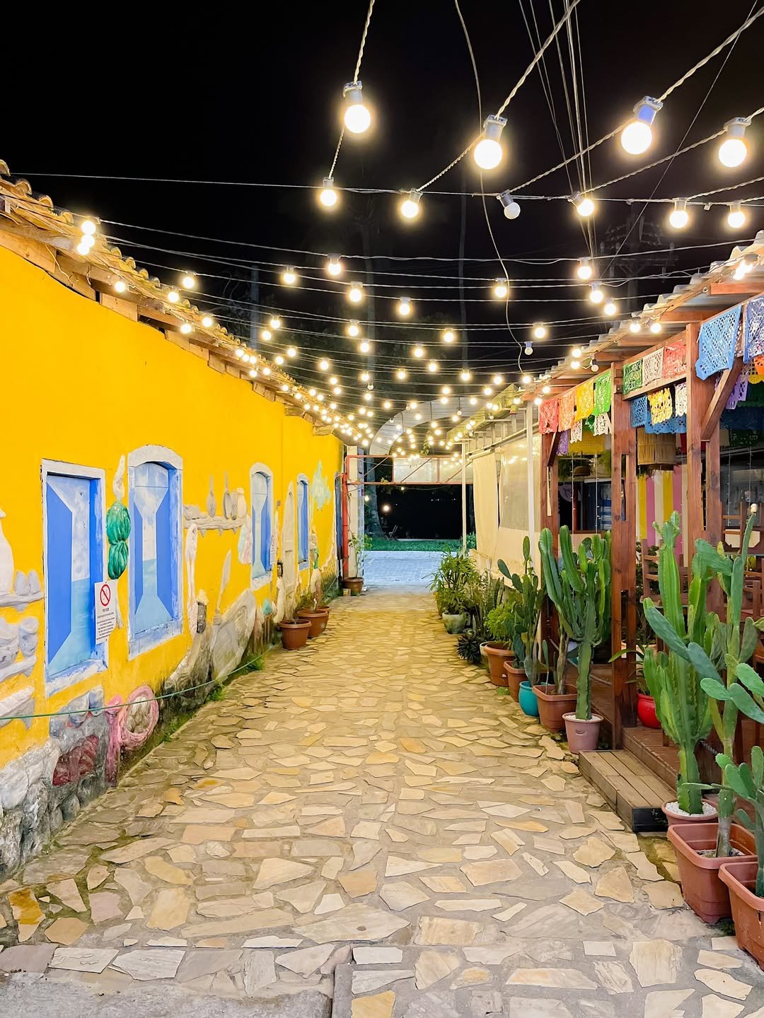 Abraão Tour Ilha Grande