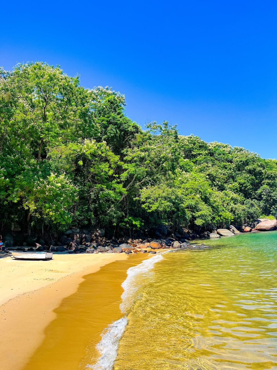 Abraão Tour Ilha Grande