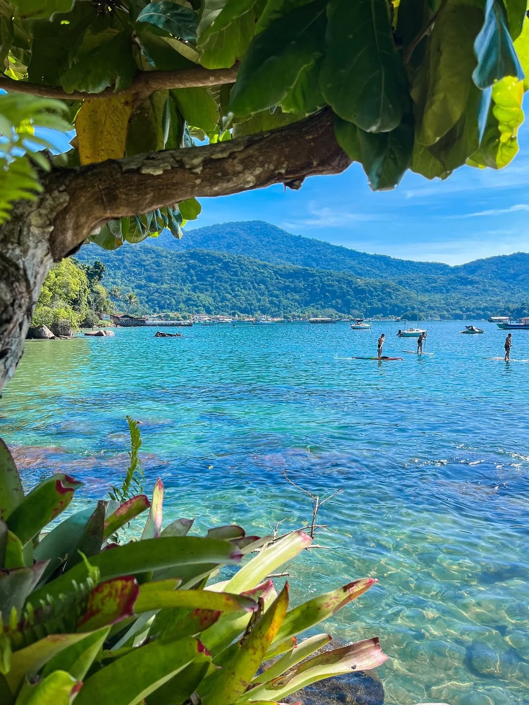Abraão Tour Ilha Grande