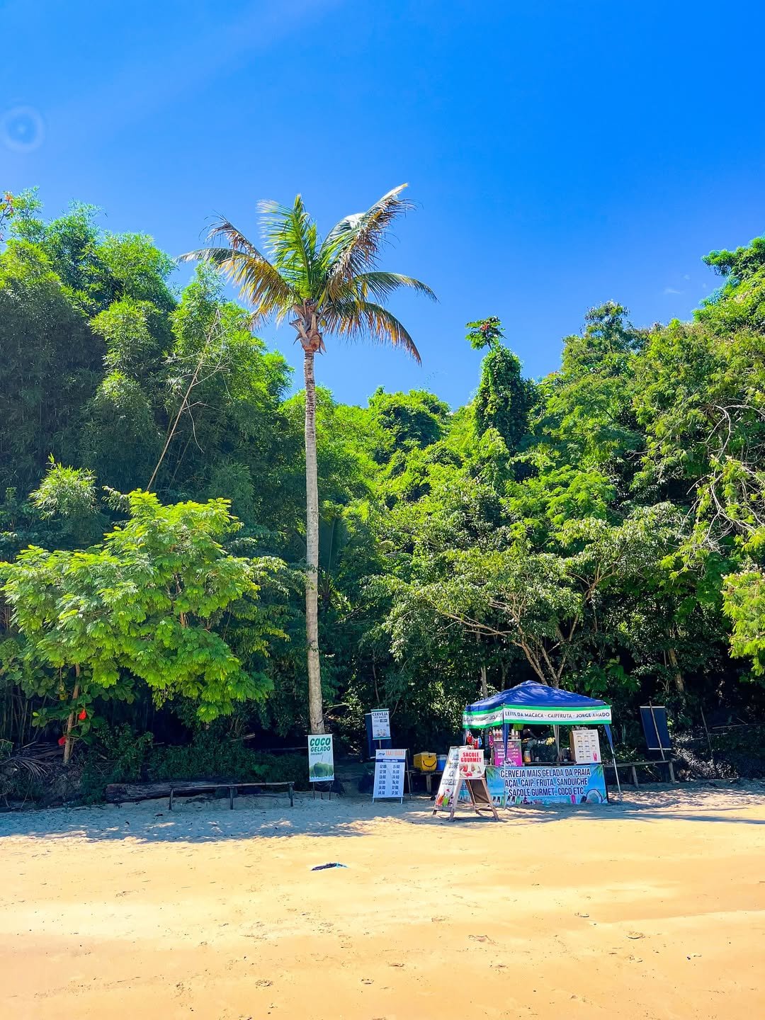 Abraão Tour Ilha Grande