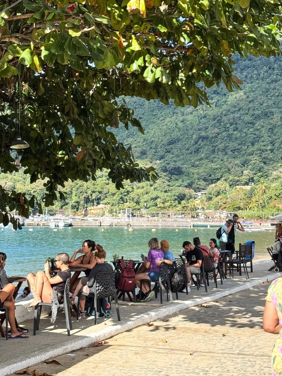 Abraão Tour Ilha Grande