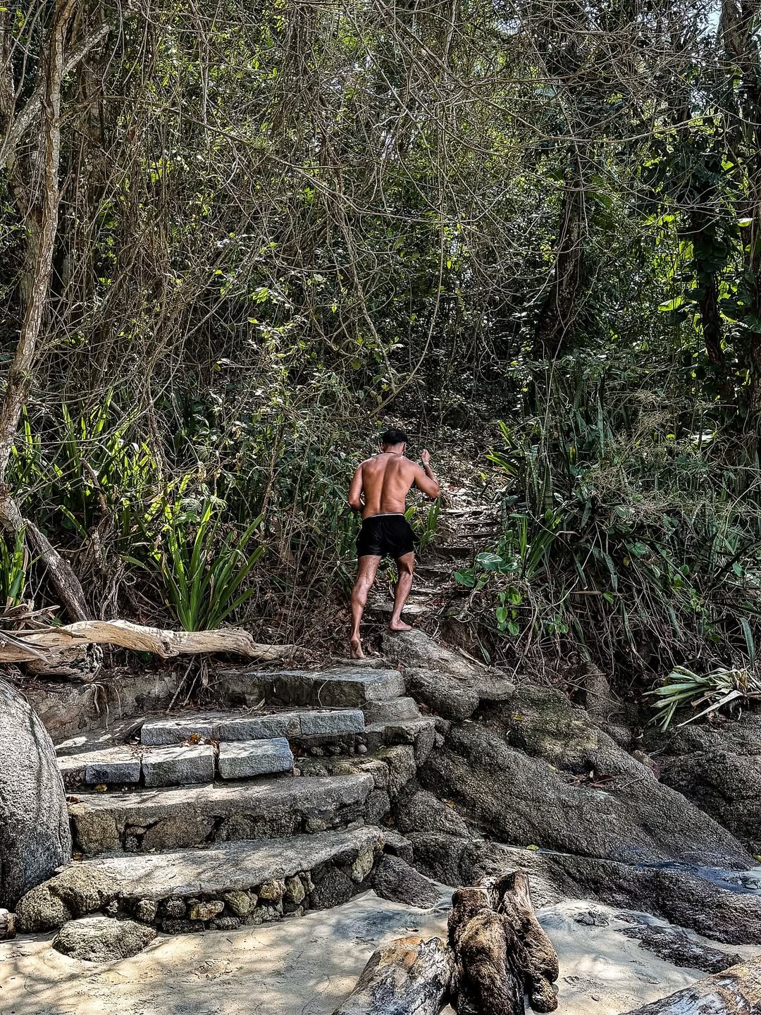 Abraão Tour Ilha Grande