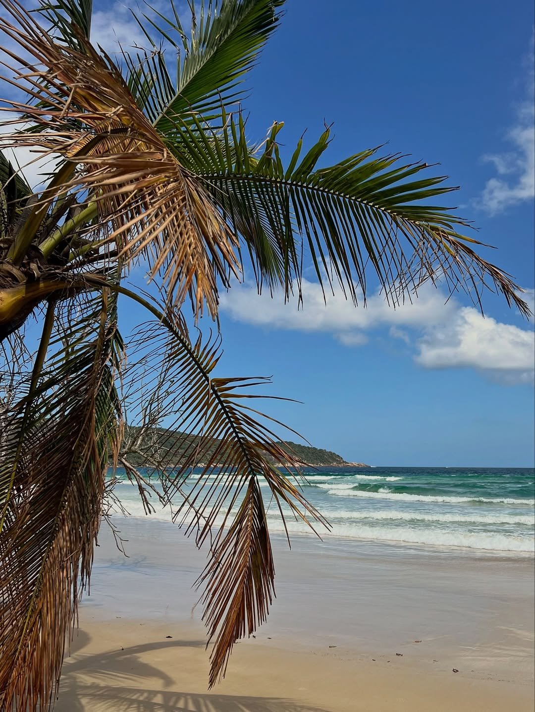 Abraão Tour Ilha Grande
