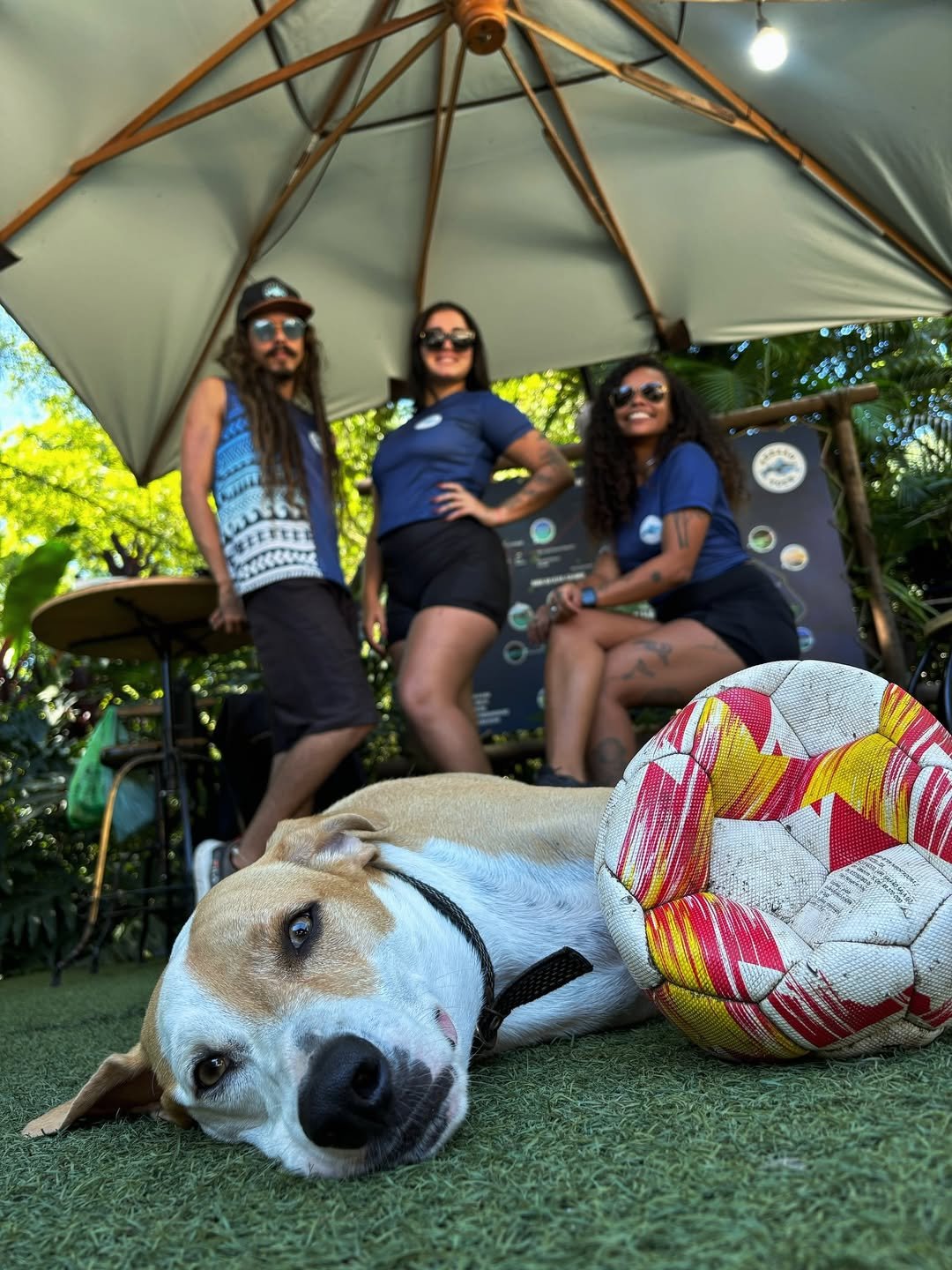 Abraão Tour Ilha Grande