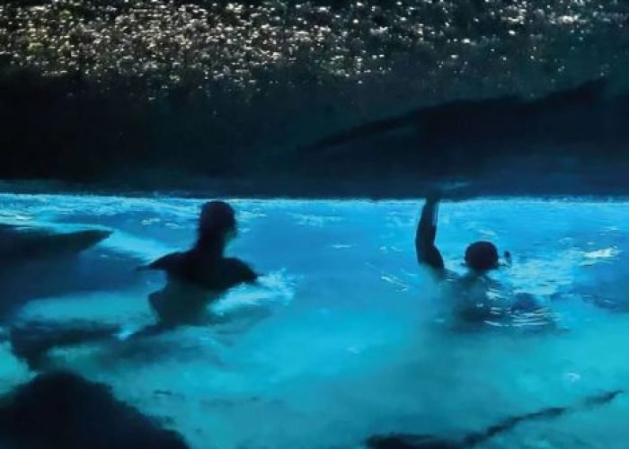 Gruta do Acaiá Passeio de Lancha na Ilha Grande Angra dos Reis Abraão Tour