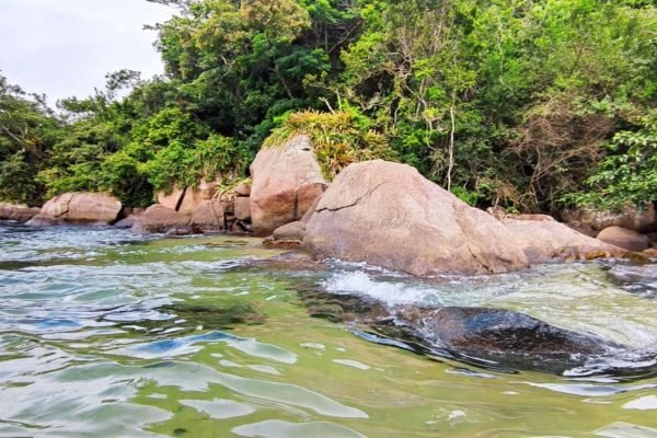 Trilha Cachoeira da Feiticeira Ilha Grande Angra dos Reis Abraão Tour (2)