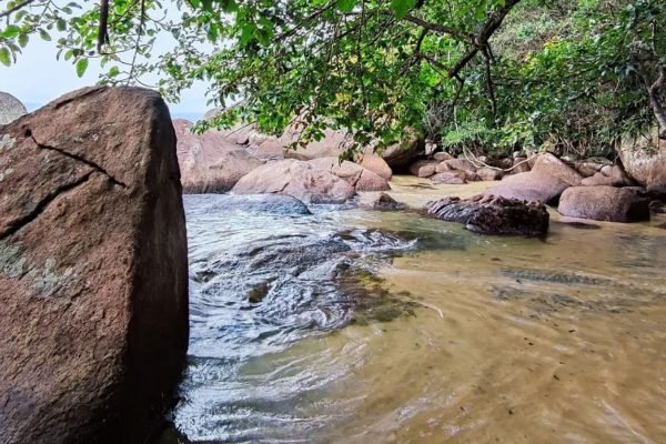 Trilha Cachoeira da Feiticeira Ilha Grande Angra dos Reis Abraão Tour